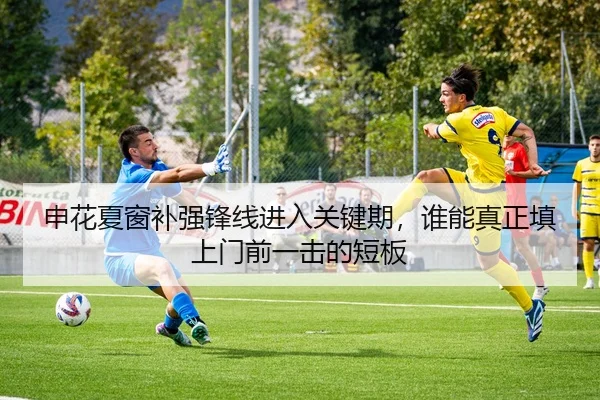 申花夏窗补强锋线进入关键期，谁能真正填上门前一击的短板